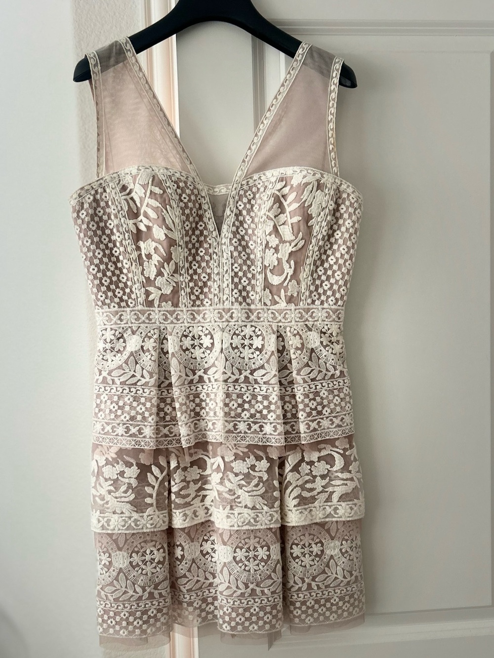 BCBGMaxAzria Blush Dress with Ivory Lace Tiered Skirt
